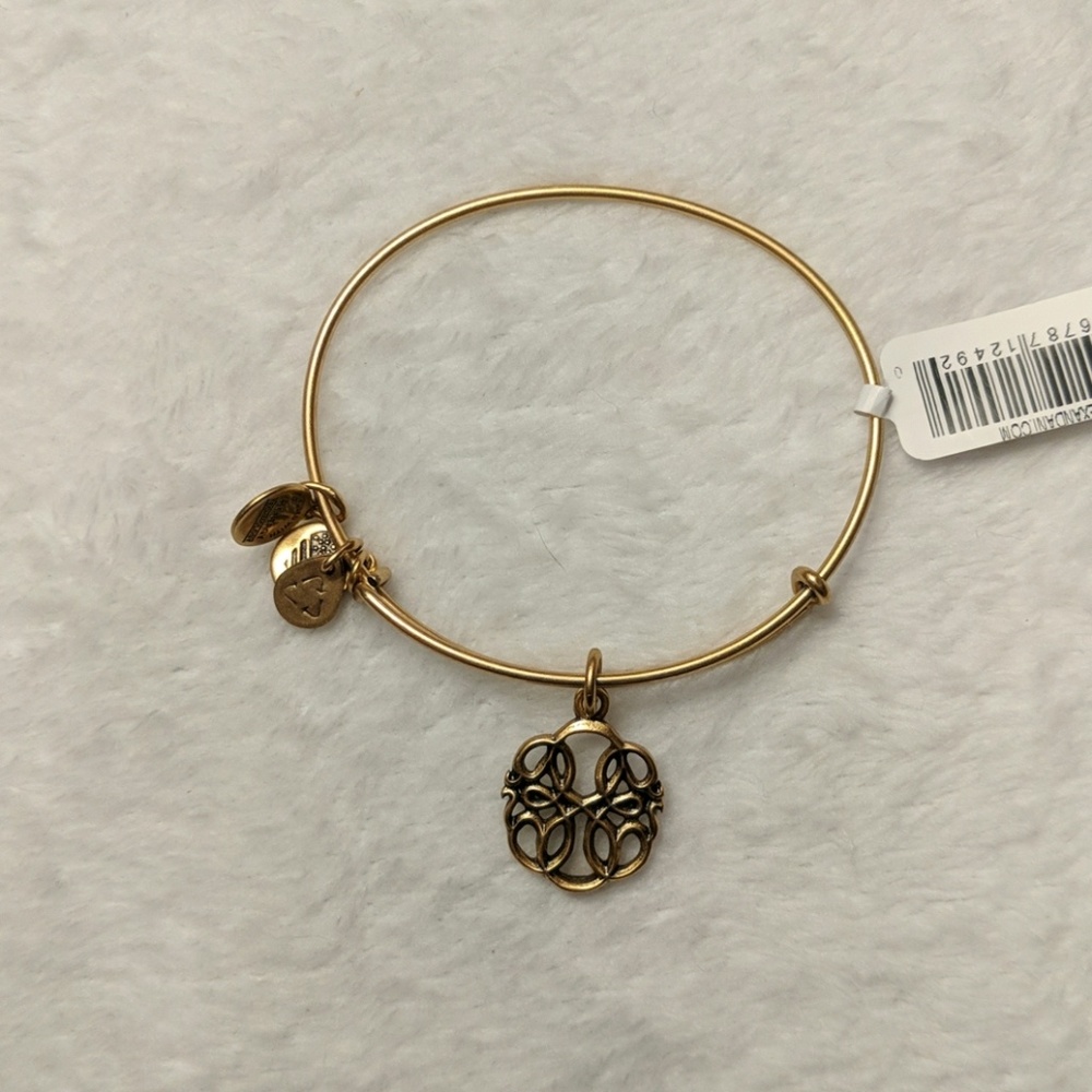 Alex and Ani Path of Life Charm Bangle in Gold